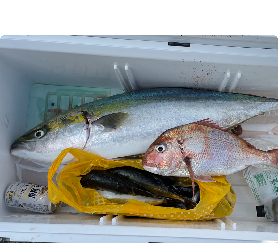 釣果13