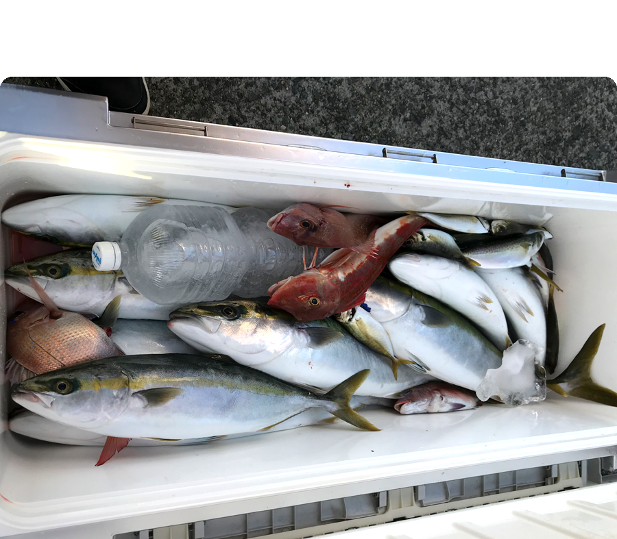 釣果13